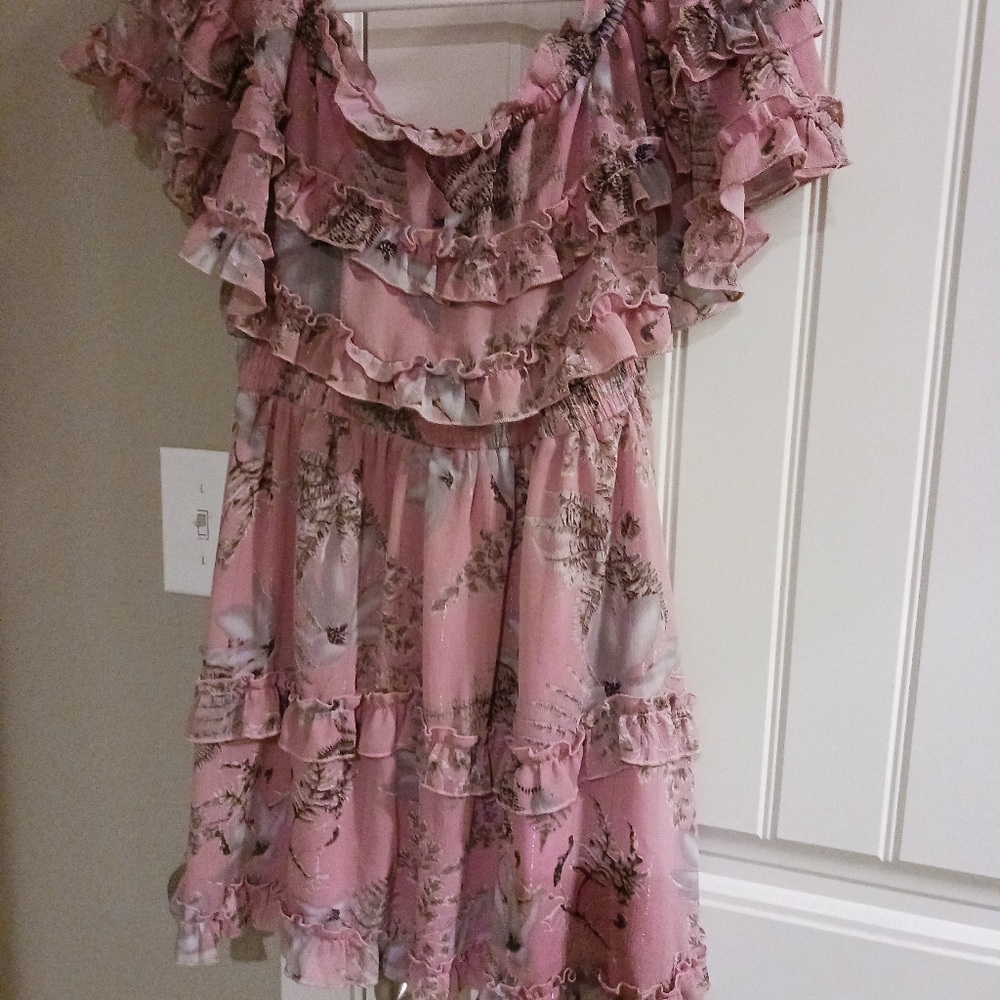 Pink with ruffle dress